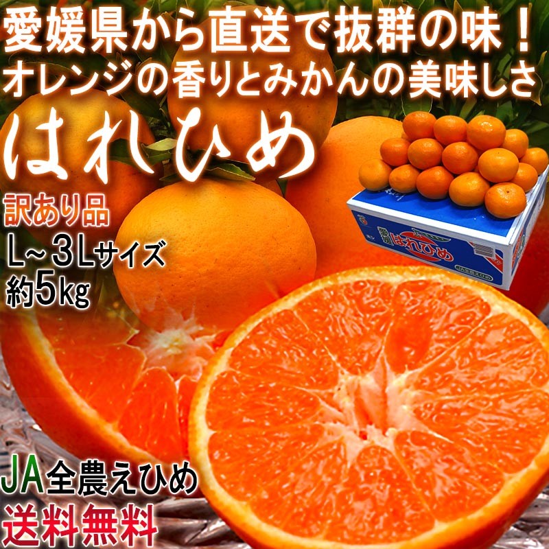 産地直送 はれひめ 約5kg L～3Lサイズ 愛媛県産 訳あり品 オレンジの香りに蜜柑の味わい！愛媛直送の新鮮なタンゴール