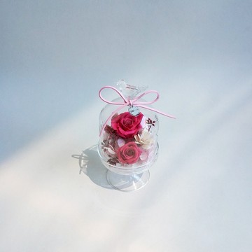 快速出貨🚀【CNFlower】戀人蜜語 恆星花禮(粉) 永生花 居家擺飾 裝飾 怎麼放都美