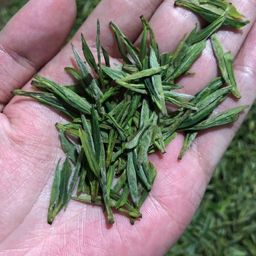 茶叶 绿茶 云雾茶 涇縣蘭香茶手工采摘炒青綠茶新茶原產地發正宗汀溪高山云霧口糧茶