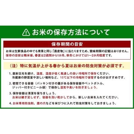 ふるさと納税 本格 フリーズドライ みそ汁 21食3種 ＆ 森のくまさん (米) 小セット お米 豚汁 熊本県人吉市