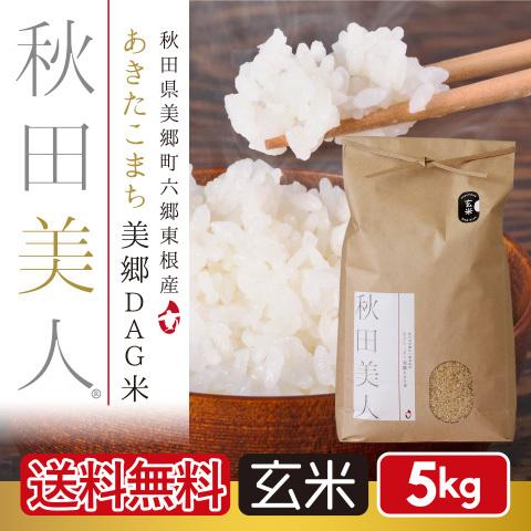 玄米 5kg お米 あきたこまち 送料無料 秋田県産 一等米 秋田美人 令和３年産 うるち米 精白米 ごはん