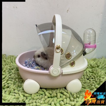 【台灣出貨】倉鼠外出籠 蜜袋鼯外出包 荷蘭豬外帶包 手提肩背包 透氣孔 防咬 鸚鵡外出籠