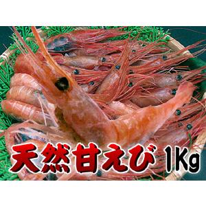 天然甘エビ 1kg LAサイズ刺身で食べれる新鮮な甘海老です 濃厚な甘さとプリップリッの食感生食