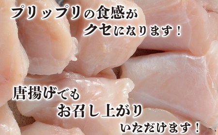 ふぐ ちり 400g 3人前 セット 国産 鍋 唐揚げ ポン酢 もみじおろし 付き FG008