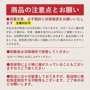 ふるさと納税 山梨県産　シャインマスカット 1.1kg (２房〜3房) 山梨県都留市