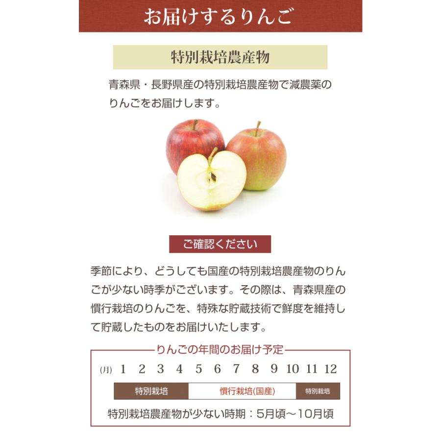 人参 無農薬にんじん 野菜セット 無農薬野菜 にんじんジュース ジュース用 にんじん3kg＋りんご2kg ゲルソン療法にも最適 訳あり