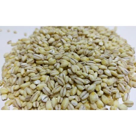 ふるさと納税 有機無農薬合鴨米（コシヒカリ10kg）・もち麦（フクミファイバー1kg） 岡山県高梁市