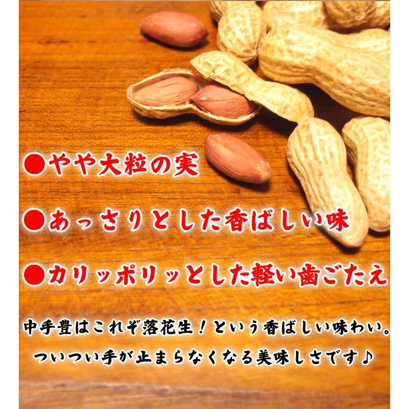 超得クーポン配布中 令和5年新豆スタート 殻付き落花生 千葉県 国産 やちまた産 高級感 クラフト袋 中手豊品種 120g×1袋 ナッツ 贅沢 酒のつまみ 年末年始