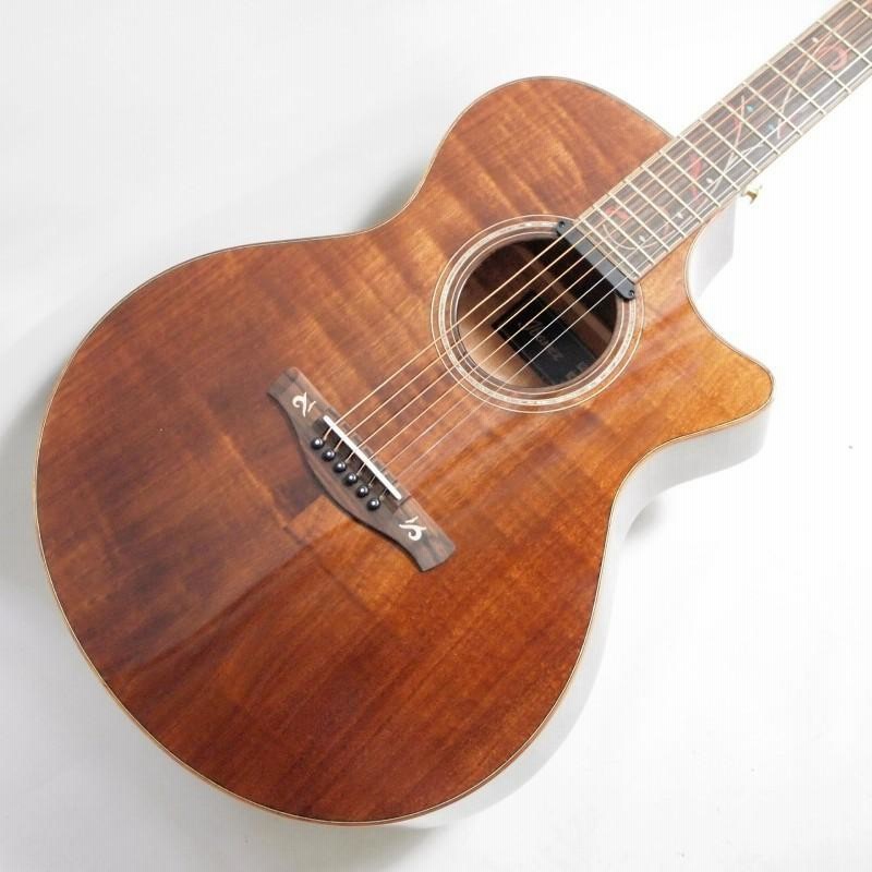 Ibanez AE295LTD-NT エレアコ 限定モデル〈アイバニーズ〉 | LINE 