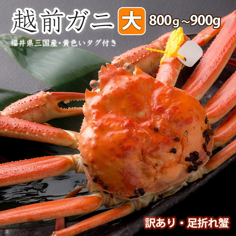 足折れ蟹　訳あり・福井県産越前ガニ（大）　タグ付き 茹で 800g〜900g　大サイズ　カニ　国産　冷蔵（クール便）