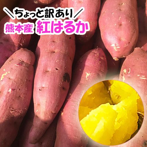 訳あり　紅はるか　約５キロ　さつまいも 蜜芋　ご家庭用　熊本産