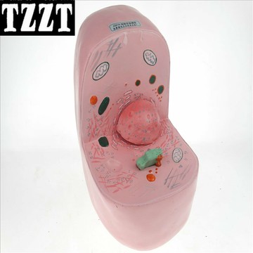 細胞亞顯微結構模型 J33302 生物實驗器材 中學教學儀器