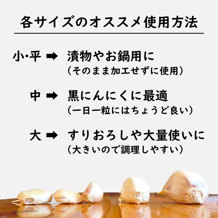 バラ にんにく 青森 2kg バラ 送料無料 青森県産にんにく 2kg バラニンニク 国産