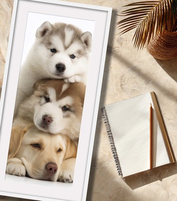 裝飾畫-附畫框 | 入厝禮| 掛畫| 民宿佈置|  室內設計| 海報