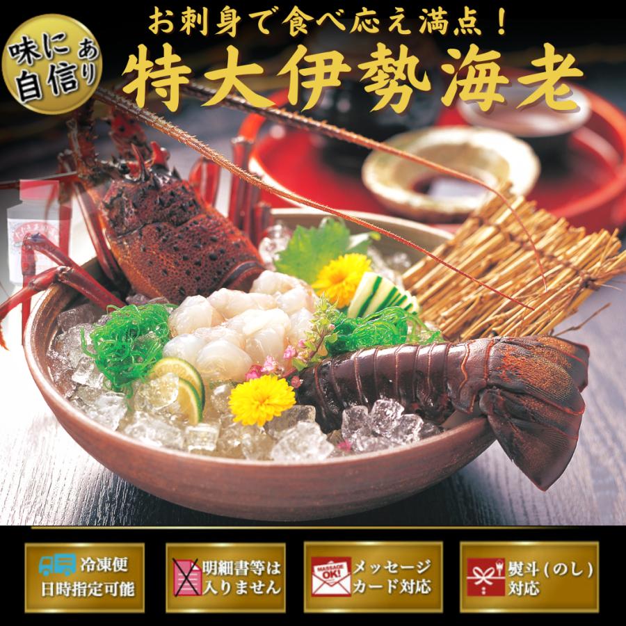 高知県産 天然 伊勢海老 1kｇ（選べる1〜3尾）お刺身 冷凍 海鮮 BBQ おせち