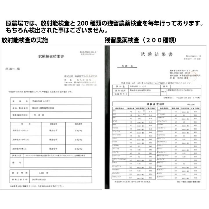 もち麦 有機JAS 国産 無農薬 原さんのもち麦300ｇ 完全無農薬 化学肥料不使用のもち麦 原農場 100％熊本県産 無化学肥料 有機栽培 送料無料 国産メール便