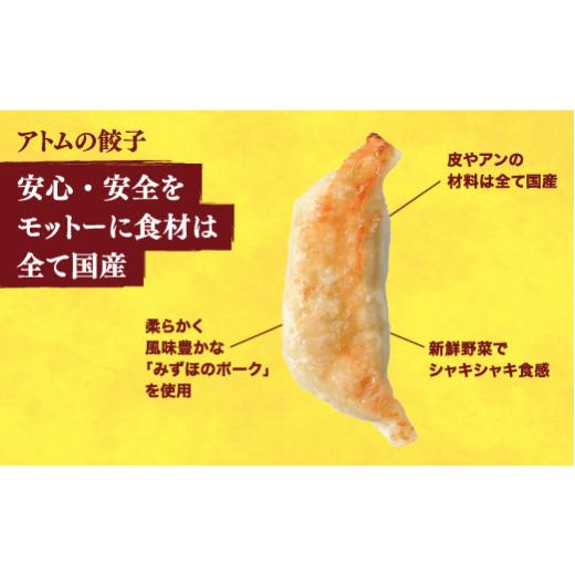 ふるさと納税 栃木県 宇都宮市 ＜アトム＞　餃子24個入り