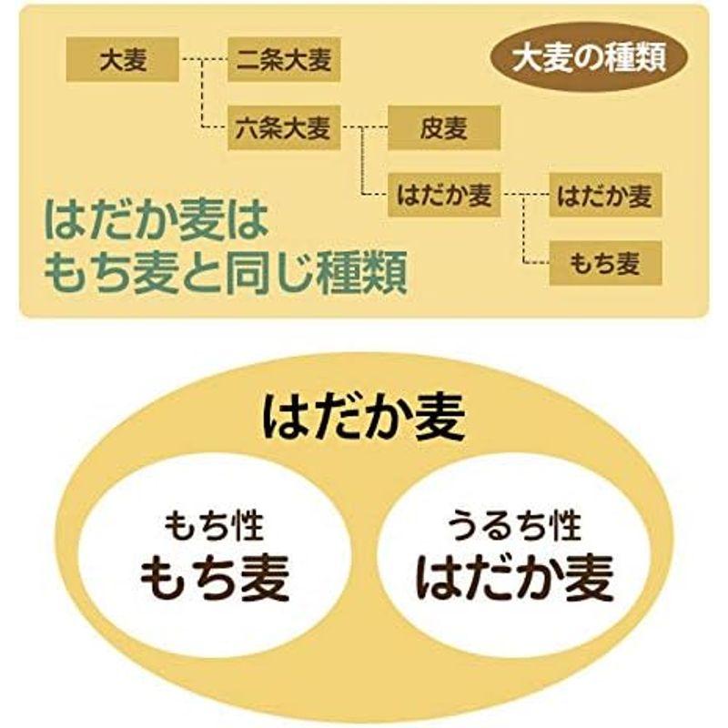 1kg×2個 国産 もち麦押はだか麦 大麦 食べ比べセット