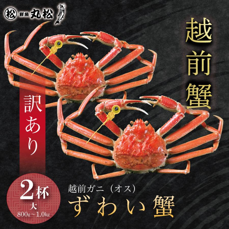 かに カニ 蟹 訳あり 越前がに 越前蟹 ずわい蟹 ズワイガニ ずわいがに 姿 送料無料 お歳暮 ギフト プレゼント お祝い 大サイズ 800g〜1.0kg 2杯