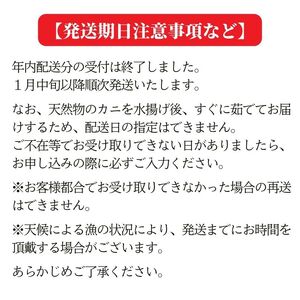 〈期間限定〉越後 本ズワイガニ 600g×2杯 計1.2kg 姿 糸魚川産 浜茹で 鮮度が命！磯貝鮮魚店 茹でたて直送 ずわいがに かに カニ 蟹 新潟県