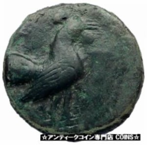 アンティークコイン コイン 金貨 銀貨 PANORMOS Sicily RARE R1 Authentic Ancient Sicilian Greek Coin w ROOSTER i73506