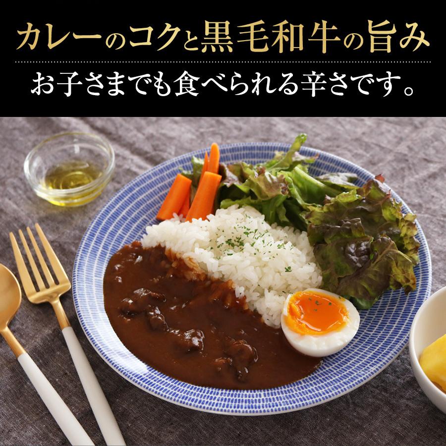 送料無料 宮崎県産黒毛和牛カレー 160g×2個 お手軽便