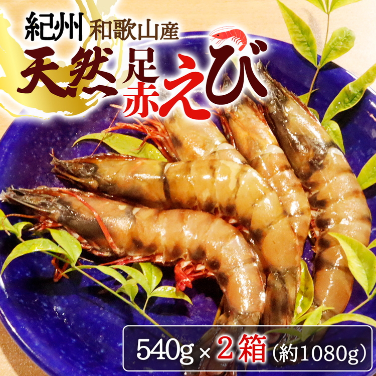 紀州和歌山産天然足赤えび540g×2箱（270g×4パック）　化粧箱入 ※着日指定不可 ※2023年11月上旬～2024年2月下旬頃に順次発送予定