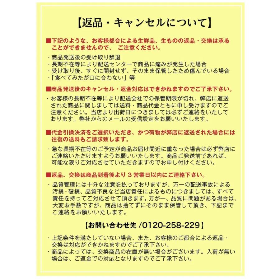 ポイント10倍 美早みかん ミカン 熊本 家庭用 秀品 3kg Mサイズ 26〜28玉前後 送料無料 産直 S常