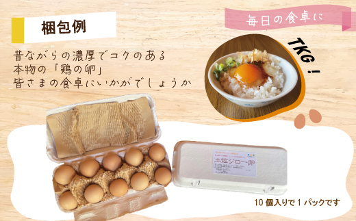 21-1014．濃厚でコクのある味わい！のびのび育った土佐ジローの自然卵20個（10個入り×2パック）