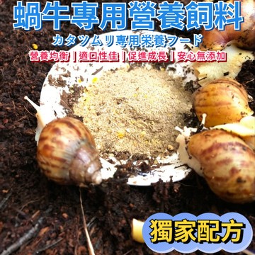陸龜驛站｜白玉蝸牛 獨家 精飼料 粉狀飼料 飼料 白玉蝸牛 蝸牛 新興寵物 高濃縮 飼料 白玉蝸牛專用 蝸牛 餌料