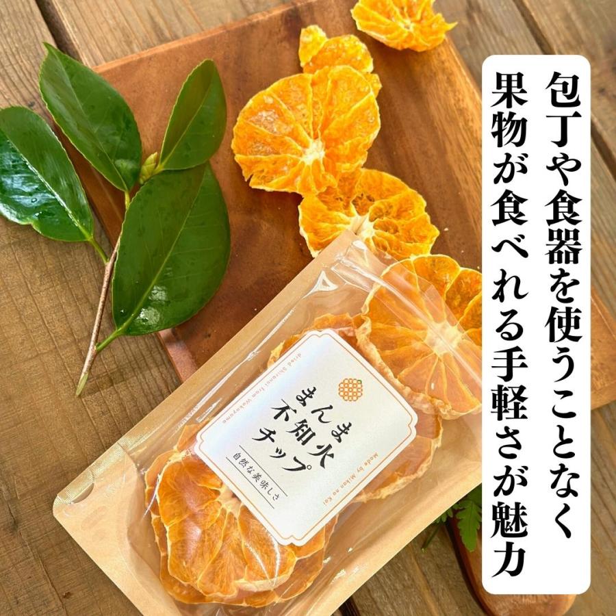 まんま不知火(しらぬい)チップ 100g(20ｇ×5袋) ドライフルーツ 和歌山県産 