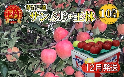 サンふじ・王林約10kg 贈答用（12月発送）青森県産