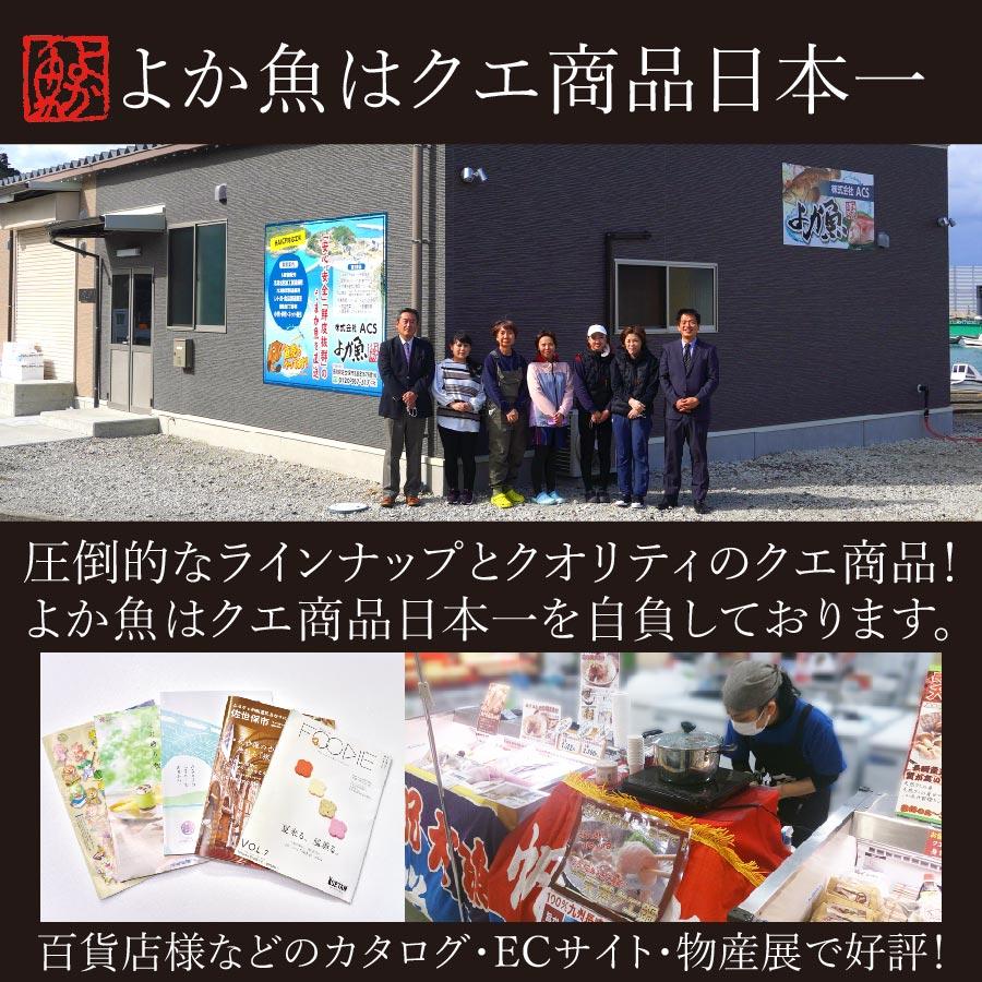 お歳暮 レンジで専門店の味！長崎産天然クエ鍋 お取り寄せ鍋セット 1人前 クエ鍋 お取り寄せグルメ 鍋 海鮮鍋