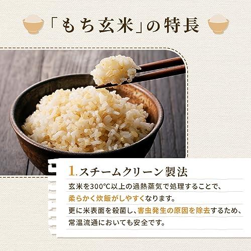 Rice Shop Another 新食感 もち玄米 (10kg   2kg×5袋   国内産 無洗米) 国産米 玄米ごはん 白米 ブレンド 白米に混