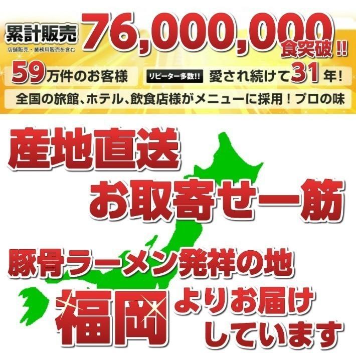 ポイント消化　ご当地とんこつ　ちゃんぽん　500円　濃厚魚介豚骨スープ　昭和レトロ風　2人前セット　お取り寄せ　メール便商品　お試しグルメギフト