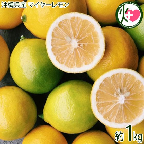 沖縄県産 マイヤーレモン 1kg 5〜8玉