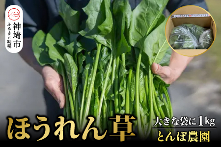 ほうれん草 1kg バラ詰め（大きな袋に1kg）(H091110)