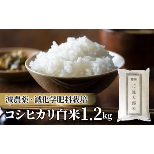 ふるさと納税 長野県 東御市 八重原産特別栽培米（減農薬・減化学肥料栽培）コシヒカリ白米１．２kg