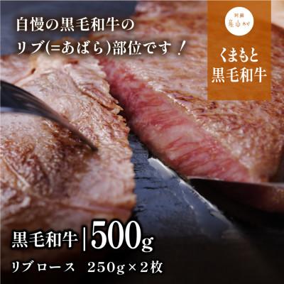 ふるさと納税 産山村 くまもと黒毛和牛・リブロース約500g