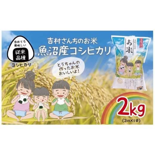 ふるさと納税 新潟県 十日町市 ｜従来品種｜ 魚沼産 コシヒカリ 2kg  米 こしひかり お米 コメ 新潟 魚沼 魚沼産 白米 送料無料 新潟県産 精米 産直 農家直送 …