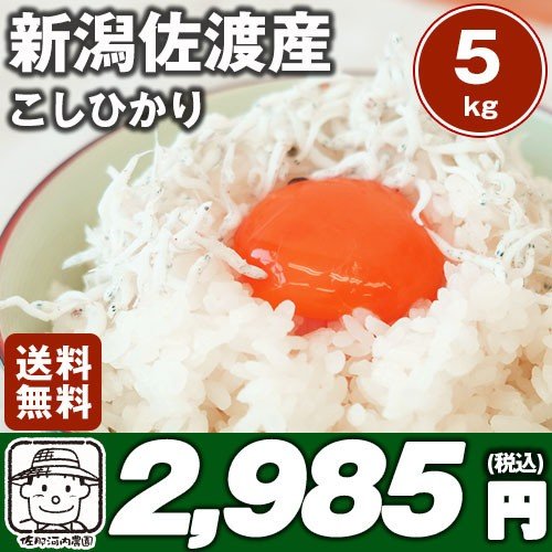 令和５年産新潟県産佐渡こしひかり　日本こしひかり三大名産地 佐渡　5kg※北海道、沖縄及び離島は別途発送料金が発生します