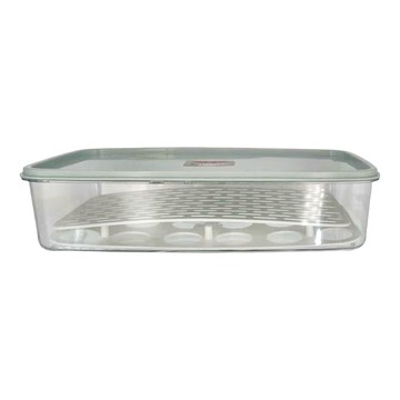 TINGLI挺力 雞蛋水餃收納盒  33 x 18.5 x 7.6cm  顏色隨機  1個