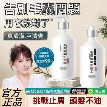 毛发清潔 柔順洗髮水 去屑止氧清爽控油 蓬鬆 持久留香 洗髮露 毛囊清潔洗髮水 清潔毛髮頭皮髒汙 控油洗髮水 蓬鬆洗髮水