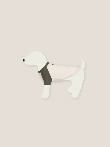 Nature Doggy Raglan T-Shirt_Khaki