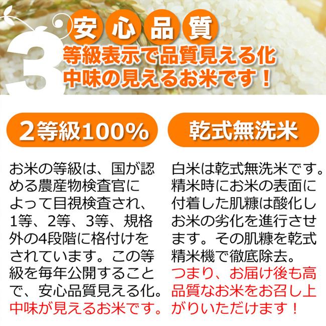 新米 無洗米 玄米 白米 2kg 今ずり米 農薬不使用 コシヒカリ 令和5年産 送料無料