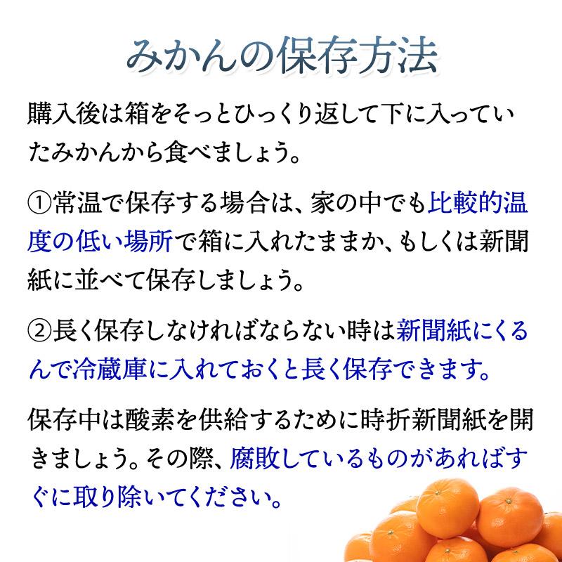  フルーツ 佐賀県産 はまさき 約3kg (L・Mサイズ 17〜21玉)  JAからつ 果物 柑橘  みかん 青果 麗紅 ギフト 高級 送料無料 CG048