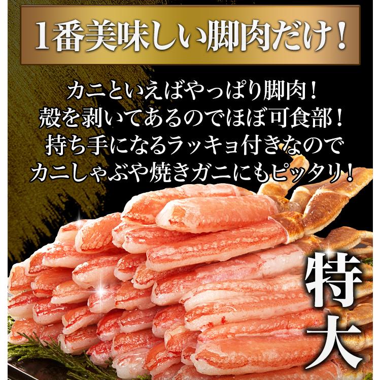 かに カニ 蟹 快適生活 ポーション ずわいがに 生 特大絶品お刺身用本ズワイガニ脚剥き身 総重量:約2kg(正味1.6kg) カニ鍋 かにしゃぶ