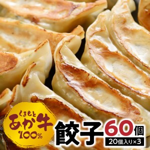 F110b-10　くまもとあか牛100%餃子 60個(20個入り×3)