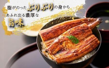 鹿児島県産うなぎ長蒲焼4尾 養殖 生産量 日本一 うなぎ 鰻 ウナギ 産地直送  うなぎ 鰻 ウナギ 高級 地元養鰻 うなぎ 鰻 ウナギ ふっくら  うなぎ 鰻 ウナギ ブランド  うなぎ 鰻 ウナギ 特上  うなぎ 鰻 ウナギ ふわふわ  うなぎ 鰻 ウナギ 鹿児島県 大崎町