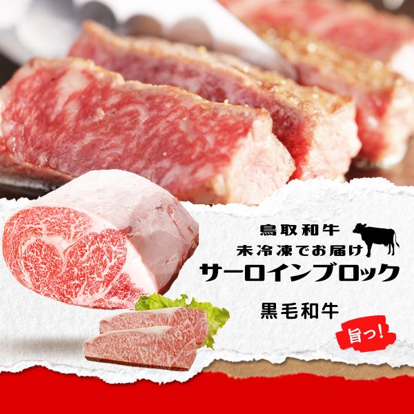 鳥取和牛 サーロイン ロース ２キロブロック黒毛和牛肉） ステーキ 2kg 鳥取県産 送料無料